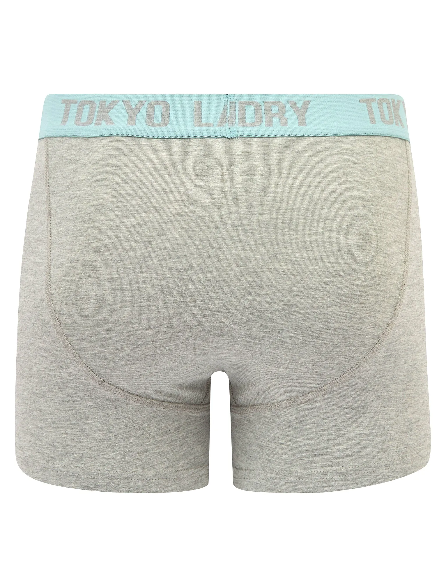 Abbots 2 (2 Pack) Boxer Shorts Set in Thrush Brown / Forget Me Not Blue - Tokyo Laundry