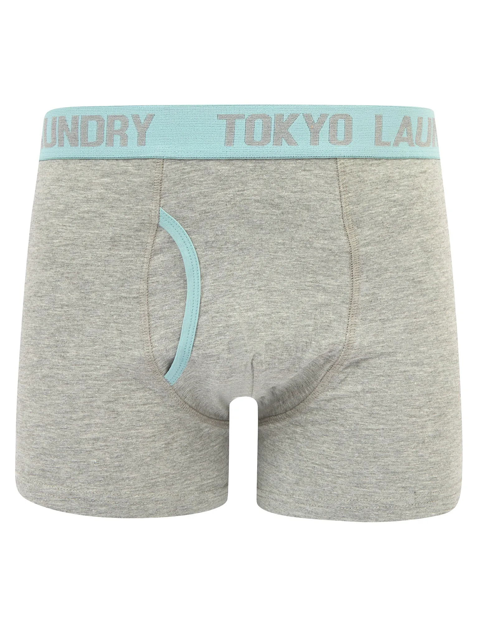 Abbots 2 (2 Pack) Boxer Shorts Set in Thrush Brown / Forget Me Not Blue - Tokyo Laundry