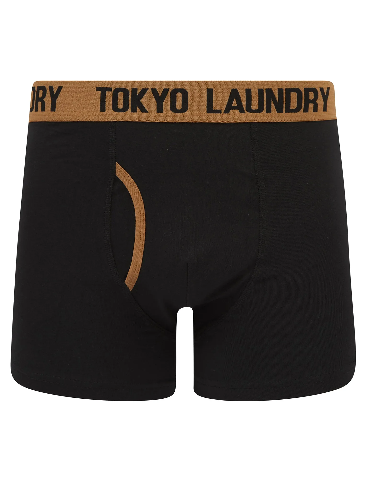 Abbots 2 (2 Pack) Boxer Shorts Set in Thrush Brown / Forget Me Not Blue - Tokyo Laundry