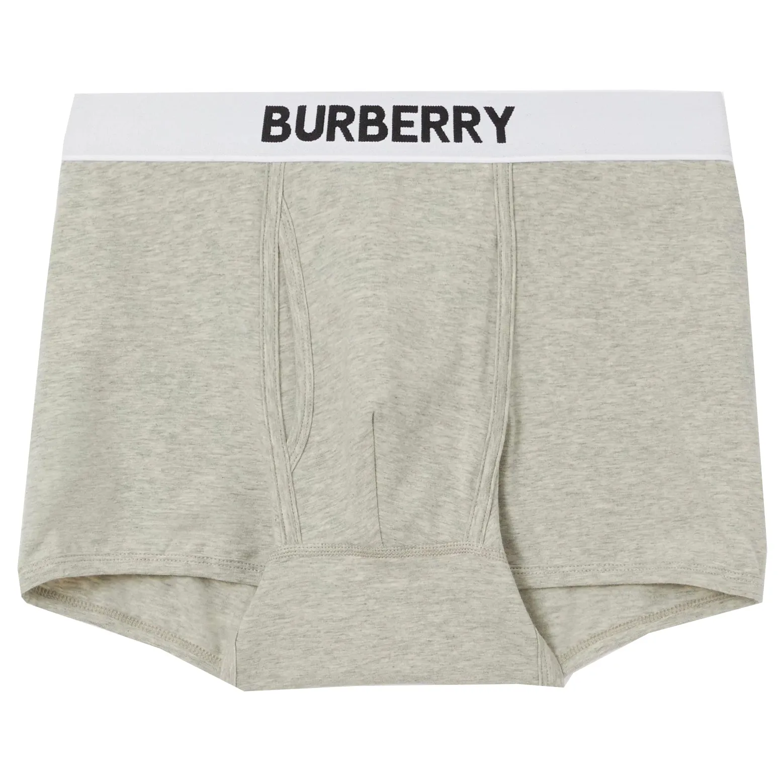 Burberry Grey Logo Briefs