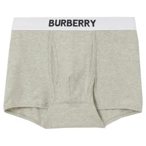 Burberry Grey Logo Briefs